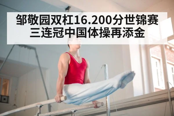 gymnastics parallel bars